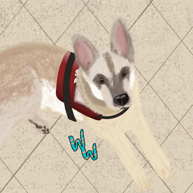 Bonus! Service Animals Ft. Associates Anonymous - podcast episode cover