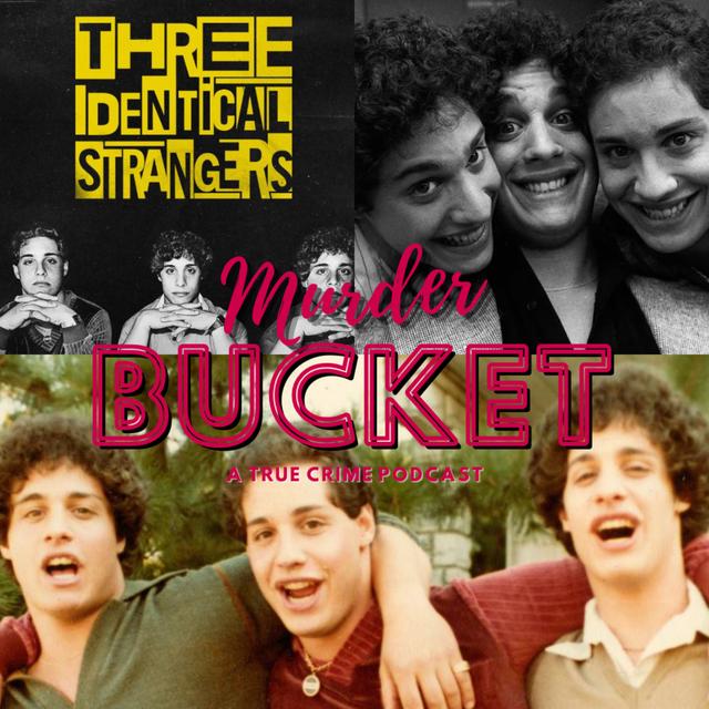Ep. 77 Three Identical Strangers - Mini Episode - podcast episode cover