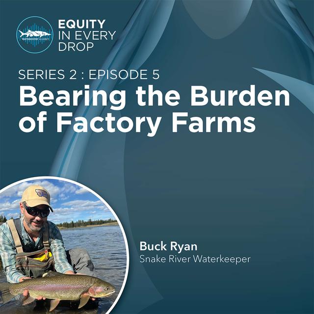 Bearing the Burden of Factory Farms - podcast episode cover
