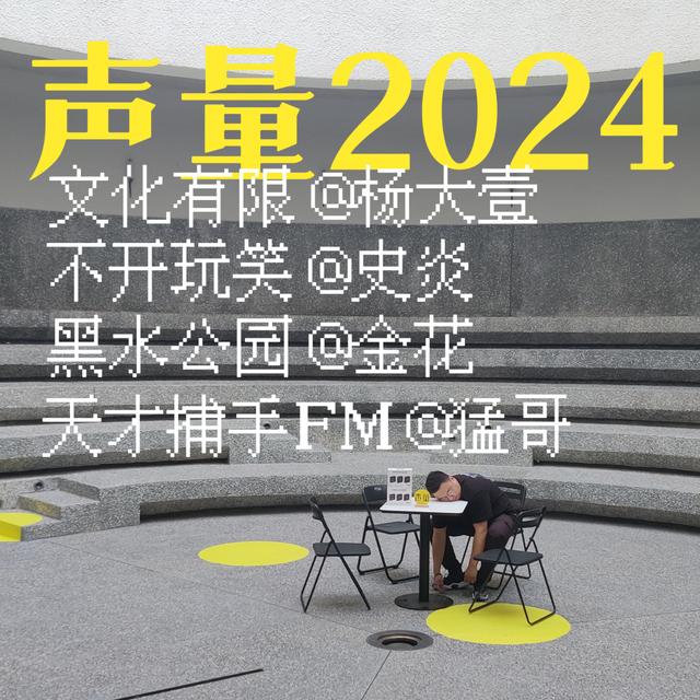 【声量2024】优秀影视改编与创作者的野心 | 大壹、金花、史炎、猛哥 - podcast episode cover