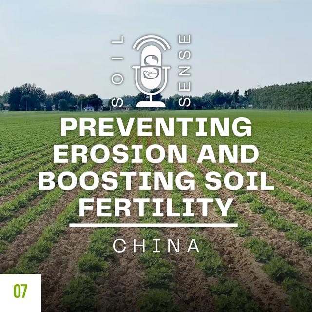 Preventing Erosion and Boosting Fertility in China - podcast episode cover