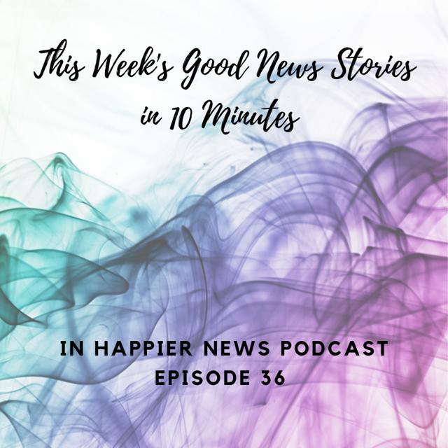 Internet Shaming Turns Positive, Good News for Elephants & More! 10 Minutes of Happier News - podcast episode cover