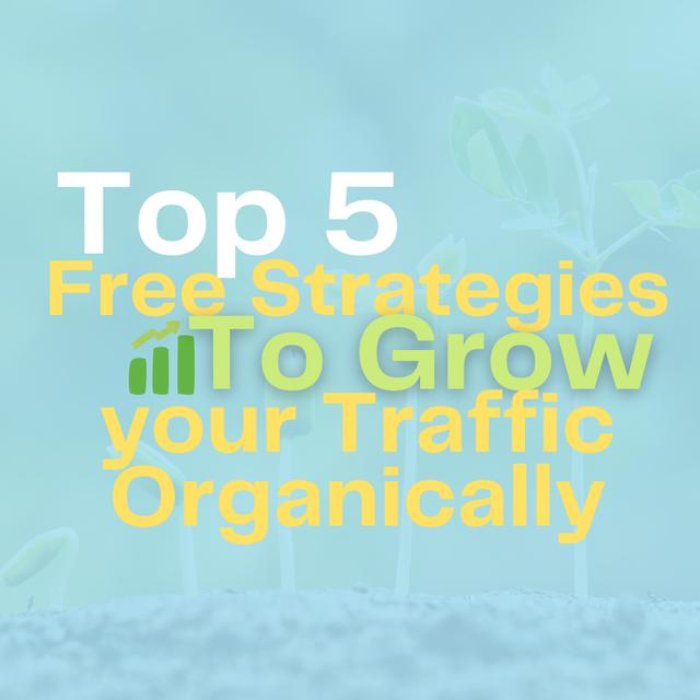 Top 5 Free Strategies To Grow your Traffic Organically - podcast episode cover