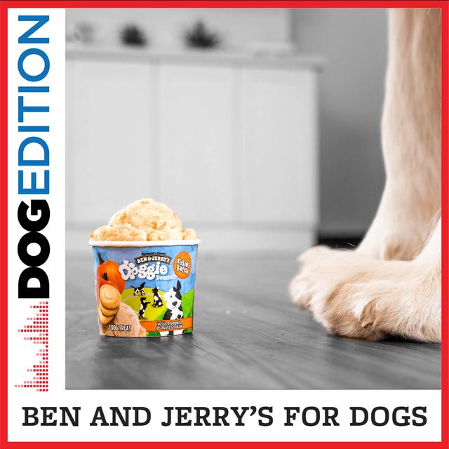 Ben and Jerry’s For Dogs - podcast episode cover