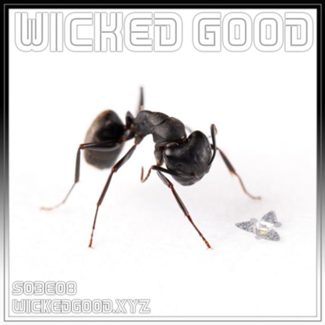 S03E08 | Twitch Source Code Flies Away On Microchip - podcast episode cover