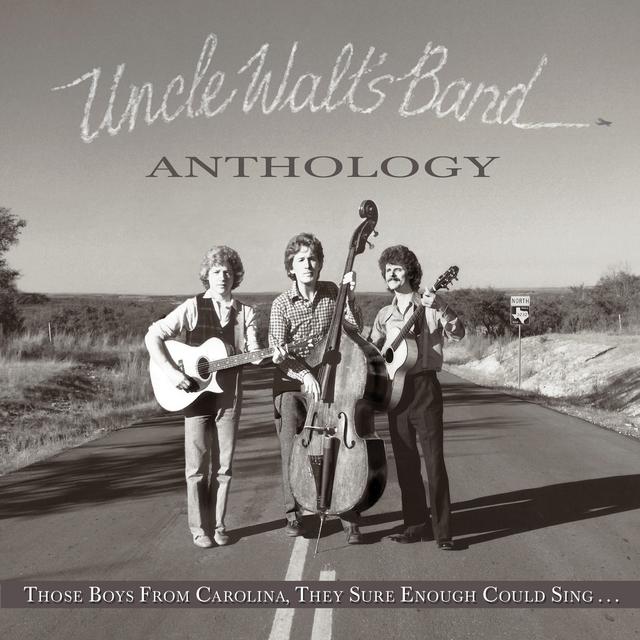 David Ball on Uncle Walt's Band - podcast episode cover