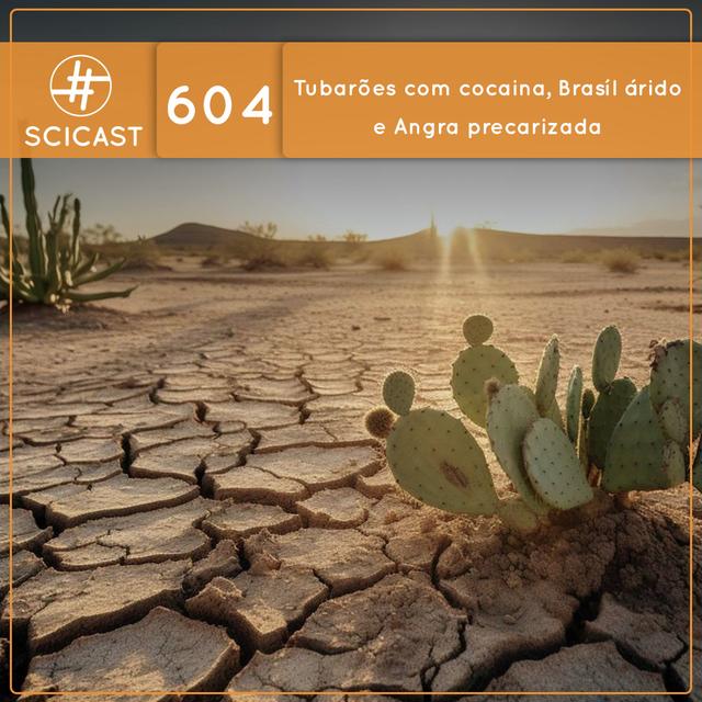 Tubarões com cocaina, Brasil árido e Angra precarizada (SciCast #604) - podcast episode cover