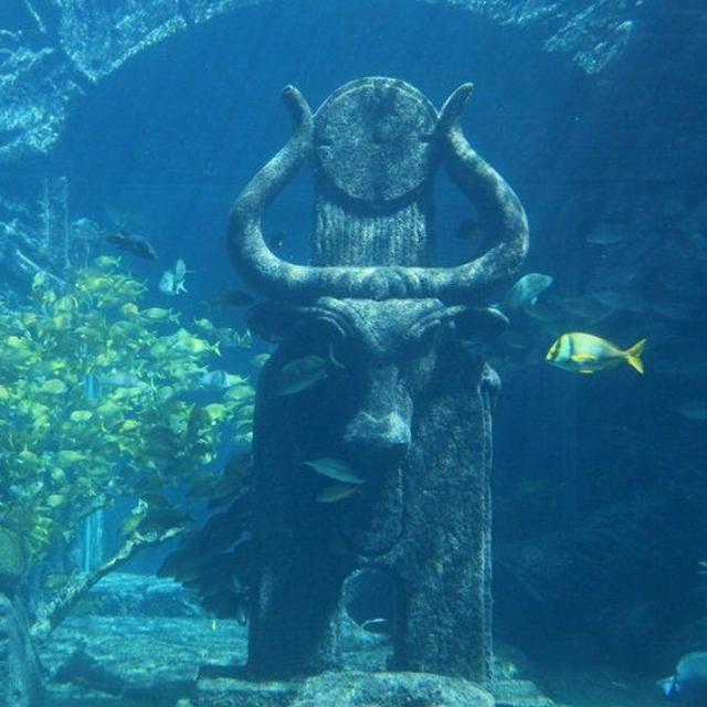 #338: Underwater Civilizations, Younger Dryas and Ley Lines Pyramid Power Grids with Matthew LaCroix - podcast episode cover