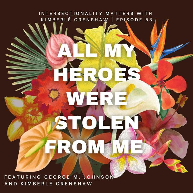 53. All My Heroes Were Stolen From Me - podcast episode cover