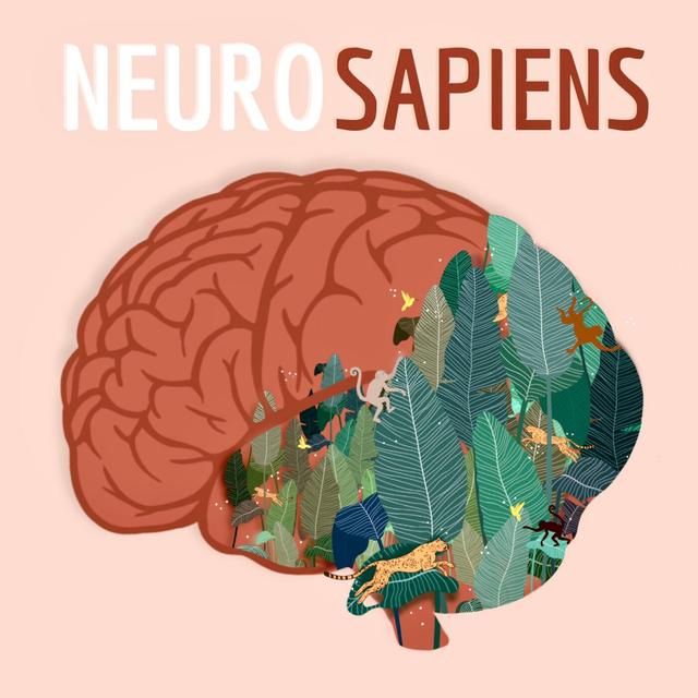 Focus sur la santé mentale : Celui où on parlait du stress (rediffusion) - podcast episode cover