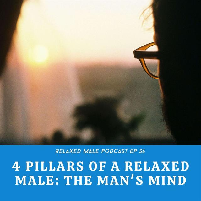The 4 Pillars: The Man's Mind - podcast episode cover