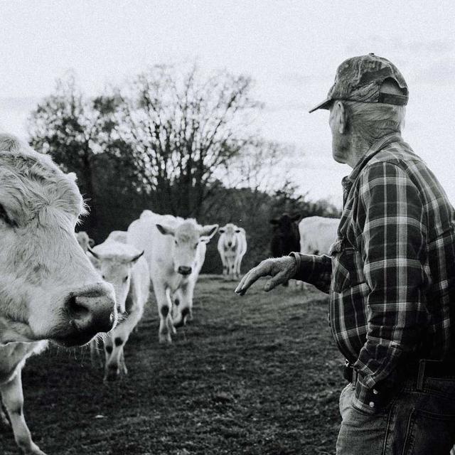 Conversation with Dillard Wright, Jr., Farmer, Miner, My Father-In-Law - podcast episode cover
