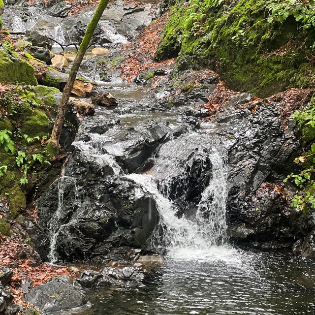 S4 E21: "How To Go Hiking With Long COVID" - podcast episode cover