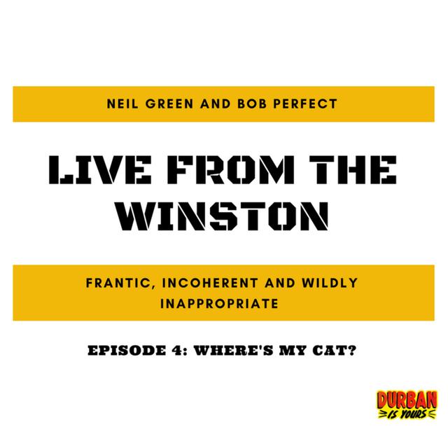 Where's My Cat? - podcast episode cover