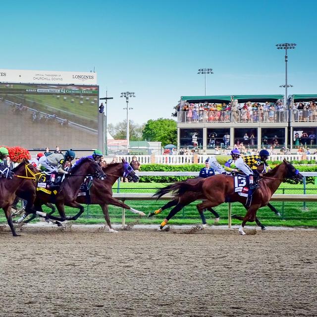 Horsepower with Dr. Sarah White-Springer - podcast episode cover