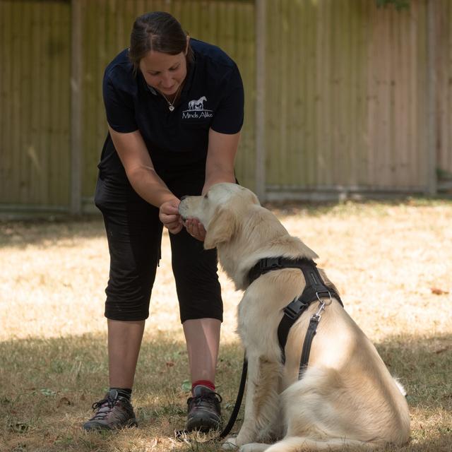 Episode 226 - Growing and Selling Your Dog Training Business, with Laura Ward of Minds Alike Animal Behaviour - podcast episode cover
