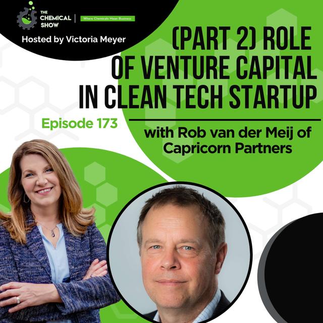 (Part 2) Role of Venture Capital in Clean Tech Startups with Rob van der Meij - Ep 173 - podcast episode cover