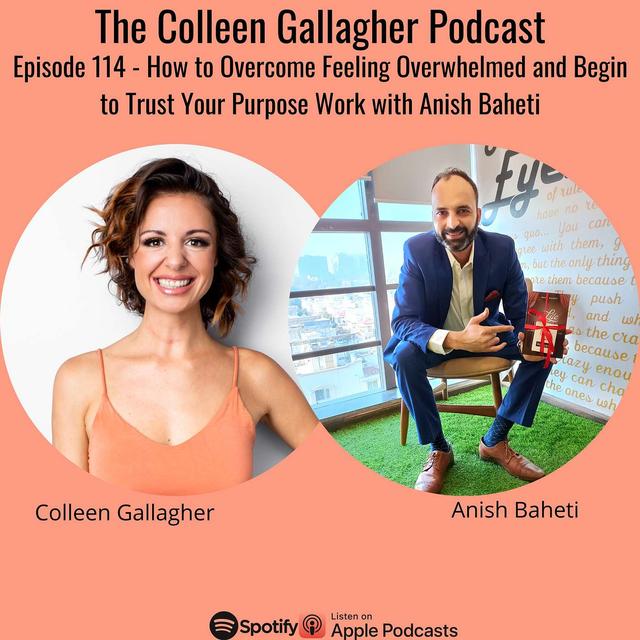 Episode 114 - How to Overcome Feeling Overwhelmed and Begin to Trust Your Purpose Work with Anish Baheti - podcast episode cover