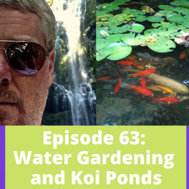 Water Gardening and Koi Ponds - podcast episode cover