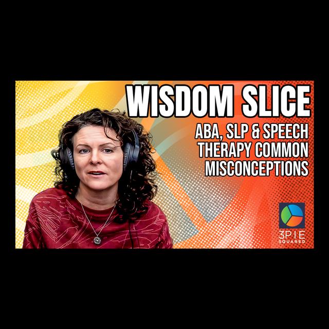Wisdom Slice - ABA, SLP & Speech Therapy Common Misconceptions - podcast episode cover