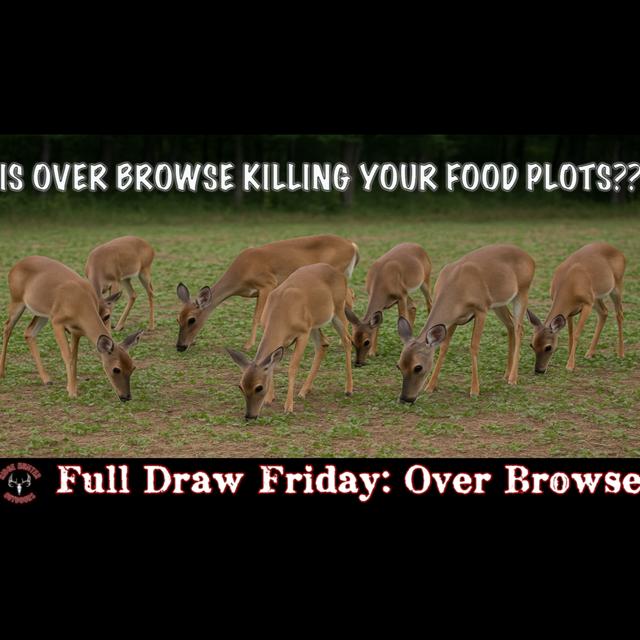 How to Avoid Over-Browse in Your Food Plots | Full Draw Friday #84 - podcast episode cover