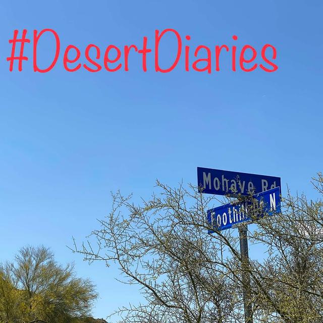Week fifty-one: The sounds of the Sonoran Desert and more snakes alive! - podcast episode cover
