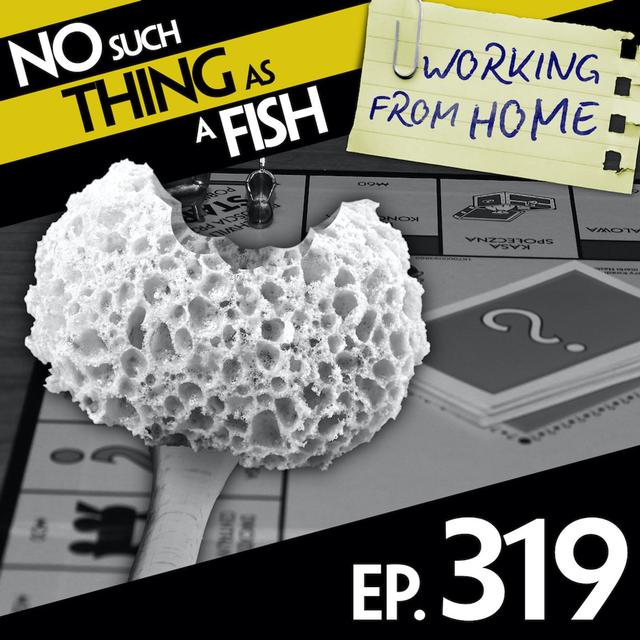 319: No Such Thing As 19th Century Feudal Japanese Monopoly - podcast episode cover