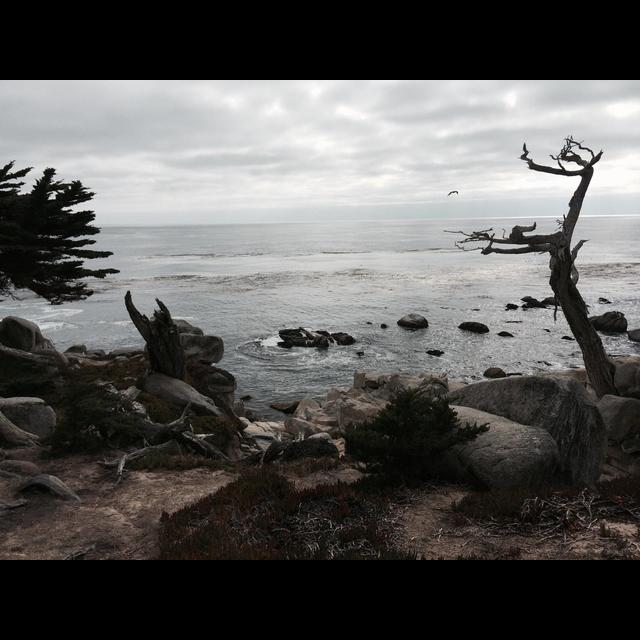 295. California Road Trip (Final Part) - podcast episode cover