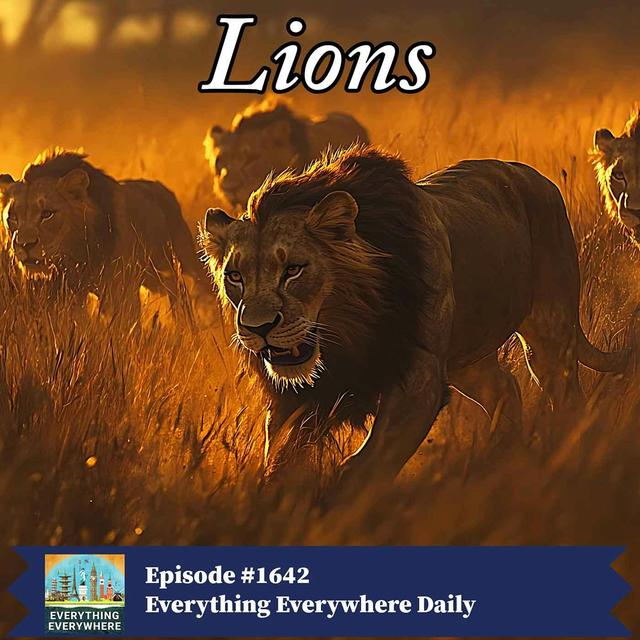 Lions - podcast episode cover
