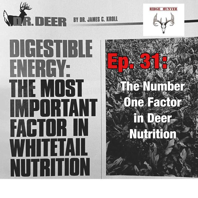 Ep. 31: The Number One Factor in Deer Nutrition - podcast episode cover