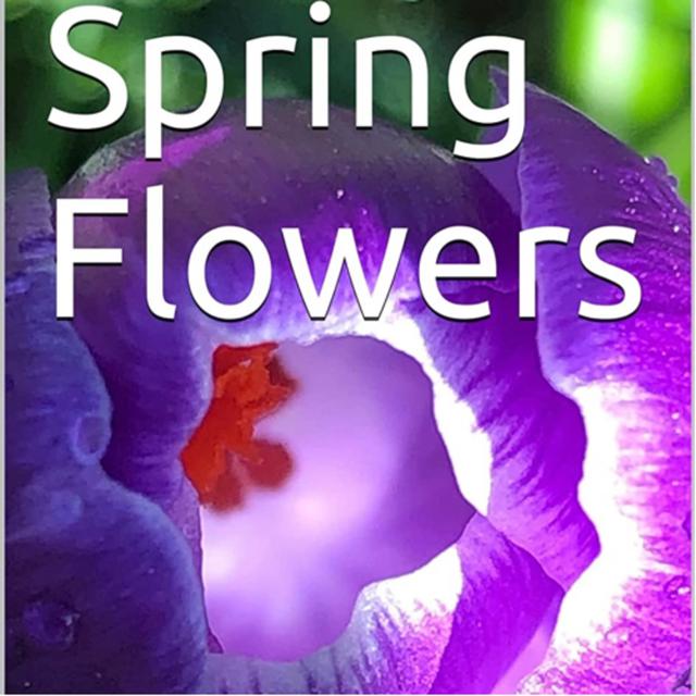 Spring Flowers Volume 56 Fancy by Daniel Lucas - podcast episode cover