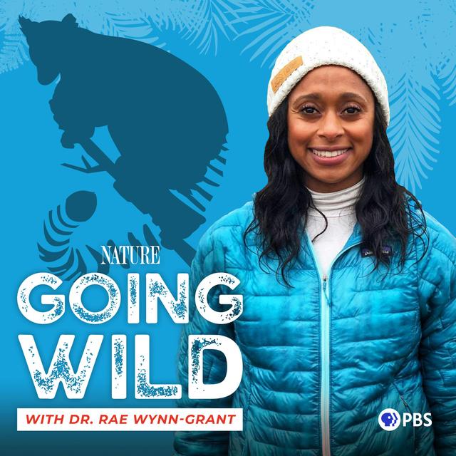 Tracking Lemurs in a Lost Rainforest - podcast episode cover