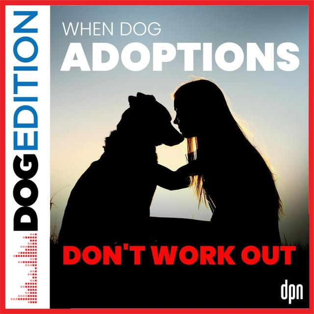 When Dog Adoptions Don’t Work Out | Dog Edition #49 - podcast episode cover