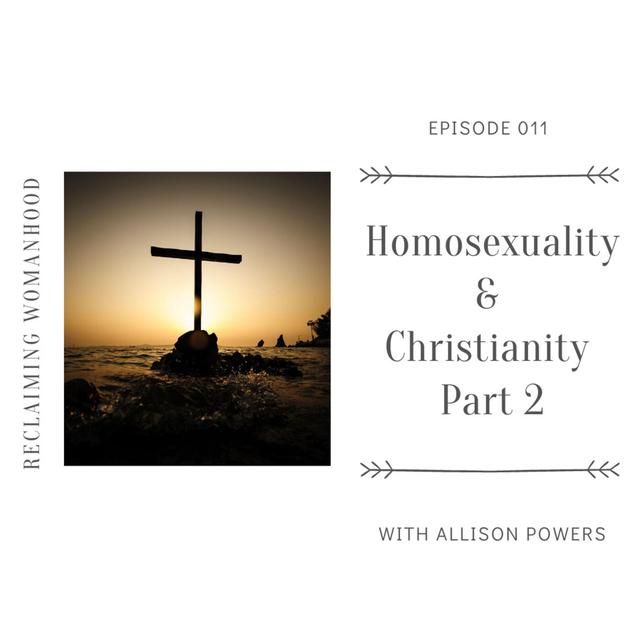 Homosexuality & Christianity Pt. 2 | 012 - podcast episode cover