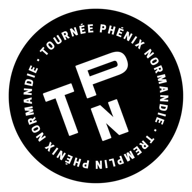 Tremplin Phénix : rencontre avec des trois premiers artistes participants - podcast episode cover