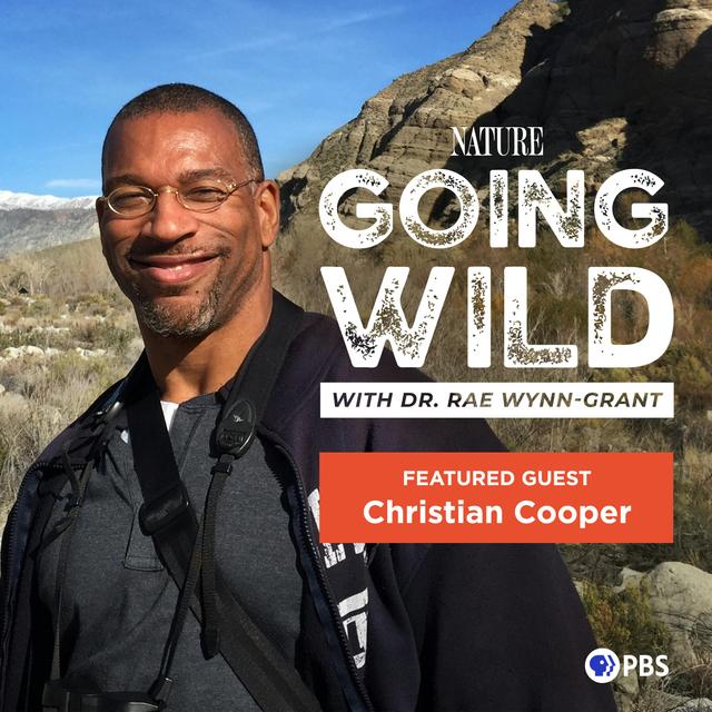 Fight And Flight: Christian Cooper's Story - podcast episode cover