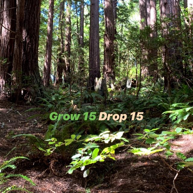 Ep. 13 - Grow 15, Drop 15 - podcast episode cover