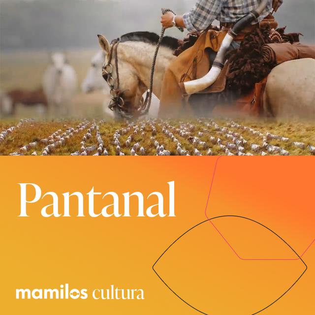 Mamilos Cultura 59: Pantanal - terra, afeto e relações - podcast episode cover