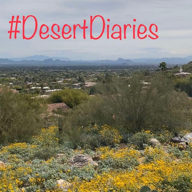 Week fifty: Socially distant mountain walks and board games with the dog. - podcast episode cover