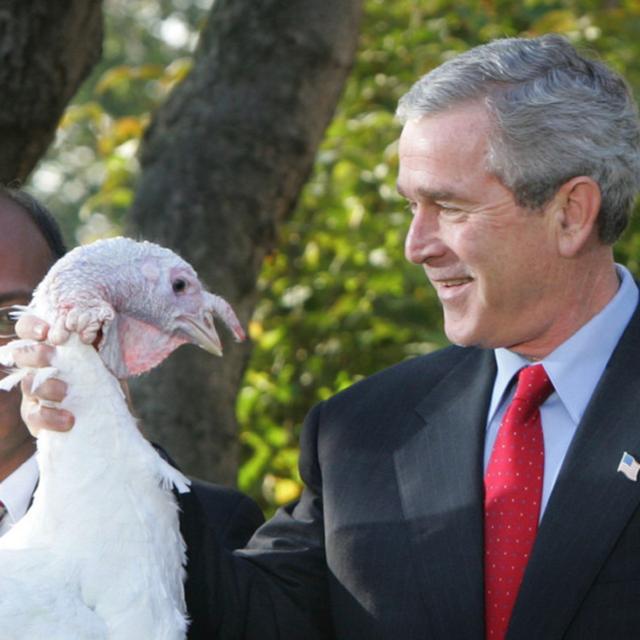 015 - Thanksgiving Presidential Turkey Pardon (Yes We Cran) - podcast episode cover