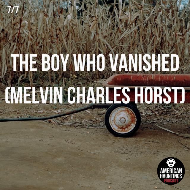 The Boy Who Vanished (Melvin Charles Horst) - podcast episode cover