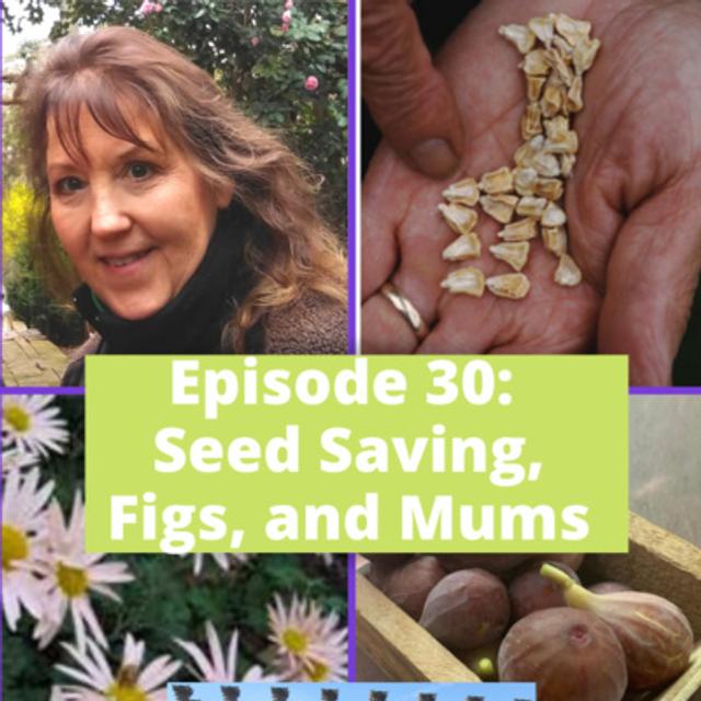 Seed Saving - podcast episode cover
