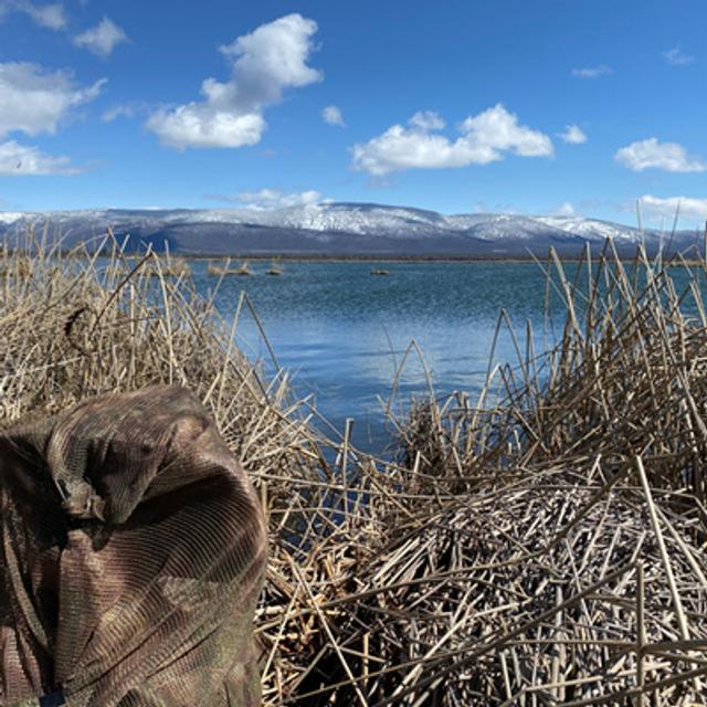 Bonus! Spring Equinox Beside Tule River Trail - podcast episode cover