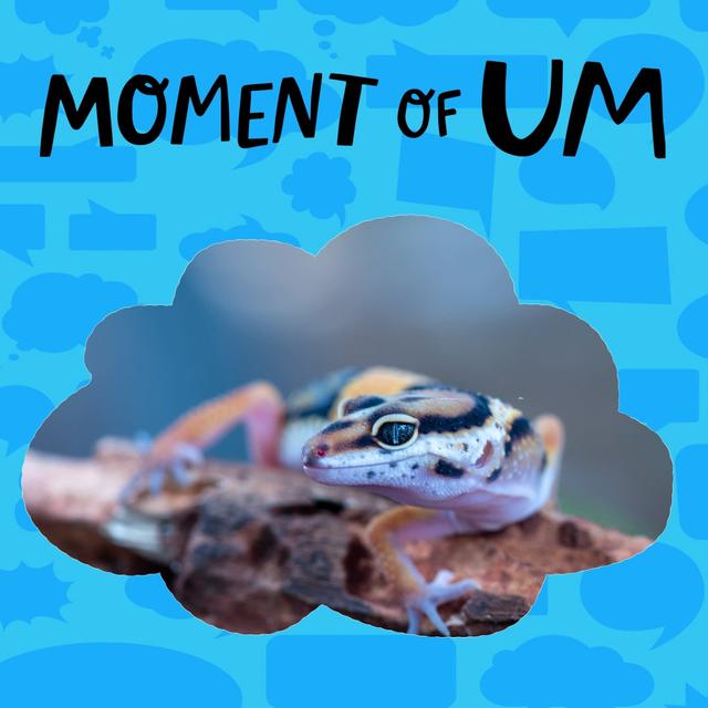 How do lizards detach their tails? - podcast episode cover