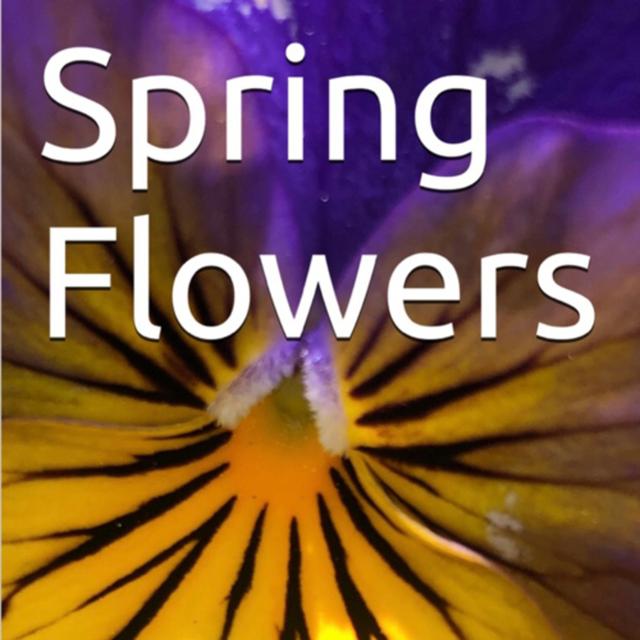 Spring Flowers Volume 122 Blissfully by Daniel Lucas - podcast episode cover