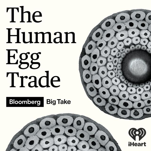 The Human Egg Trade: Episode 3 - The Journey - podcast episode cover