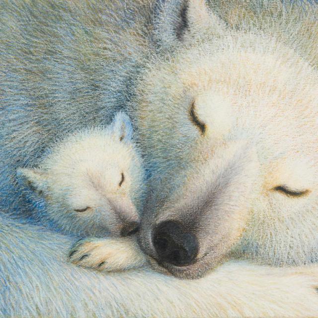 Should We Save The Polar Bears? With Yolandi Coetzee - podcast episode cover