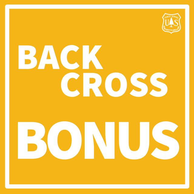 Backcross: How A Bird Influences Beech Resistance Patterns (BONUS) - podcast episode cover
