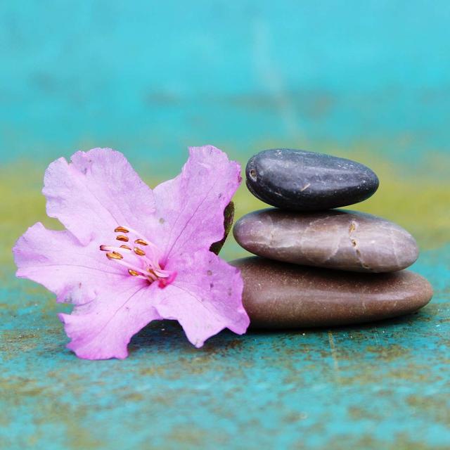 5 Minute Easy Guided Breath Meditation For Beginners - podcast episode cover