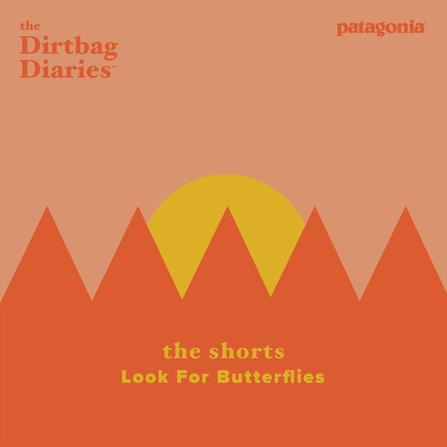 The Shorts-- Look For Butterflies - podcast episode cover